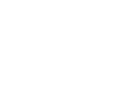 Ethics Icon