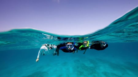 A Good Way to Protect Your Travel Investment