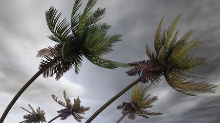 Protect Your Vacation From the Financial Risk of Hurricanes